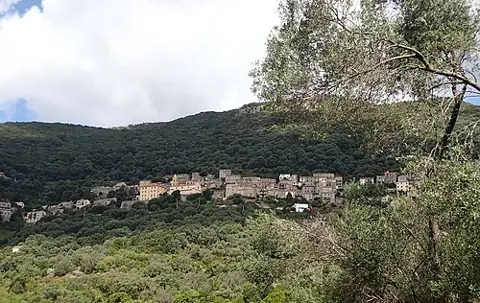 Vue de Olmeto