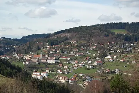 Vue de Le Tholy