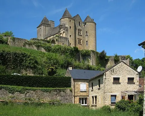 Vue de Salignac-Eyvigues