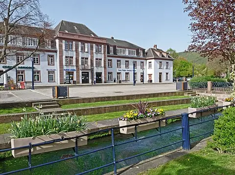 Vue de Niederbronn-les-Bains