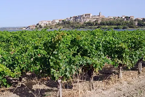 Vue de Bages
