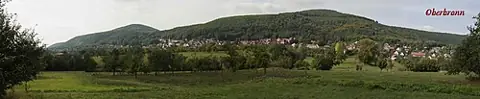 Vue de Oberbronn
