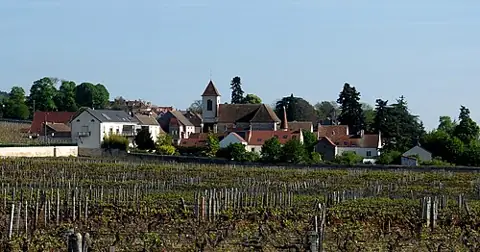 Vue de Morey-Saint-Denis