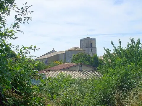 Vue de Saint-Thomas-de-Conac