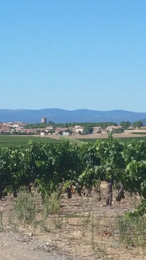 Vue de Sainte-Valière