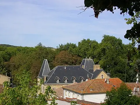 Vue de Saint-Michel-de-Lanès