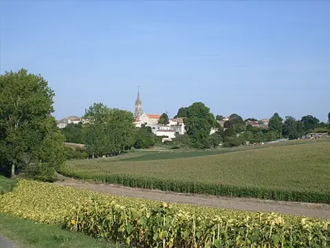 Vue de Chenac-Saint-Seurin-d'Uzet