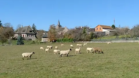 Vue de Le Nayrac