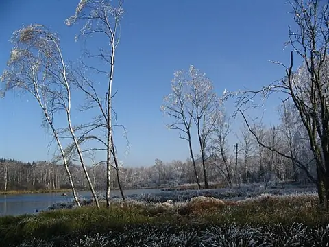 Vue de Bellefontaine
