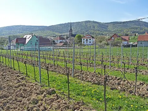 Vue de Cleebourg
