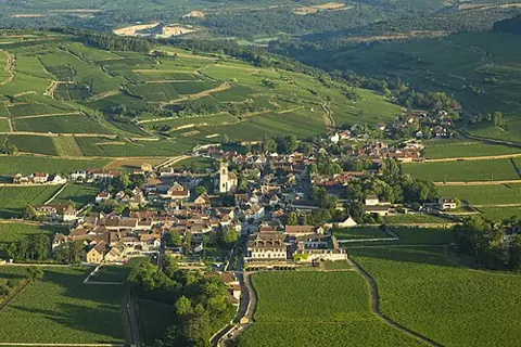 Vue de Pommard