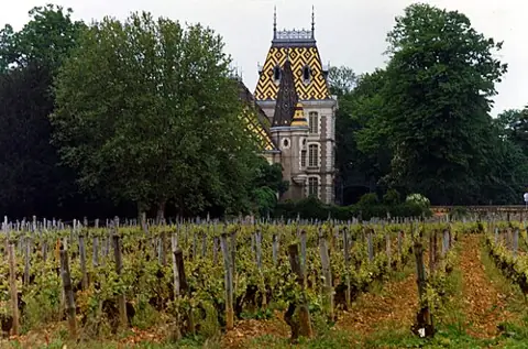 Vue de Aloxe-Corton