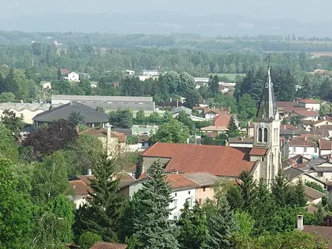 Vue de Villieu-Loyes-Mollon