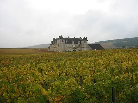 Vue de Vougeot