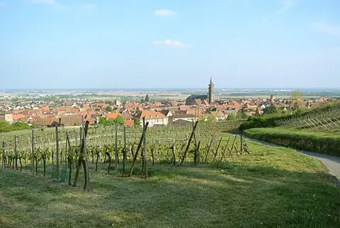 Vue de Dambach-la-Ville