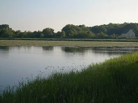 Vue de Saint-Michel-en-Brenne