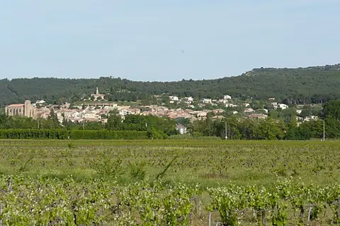 Vue de Laudun-l'Ardoise