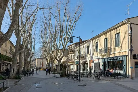 Vue de Lunel
