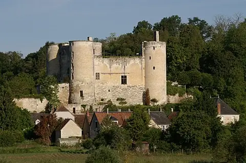 Vue de Villentrois-Faverolles-en-Berry