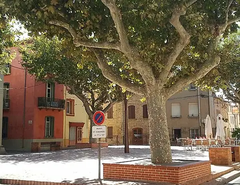 Vue de Torreilles