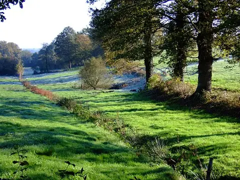 Vue de Reigny