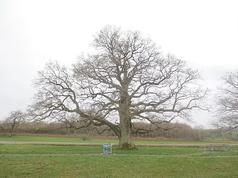 Vue de Rimsdorf